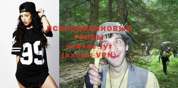 бошки Гусь-Хрустальный