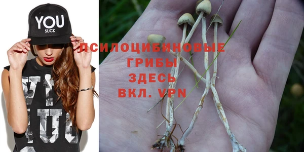 бошки Гусь-Хрустальный