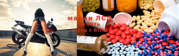 мяу мяу мука Гусев