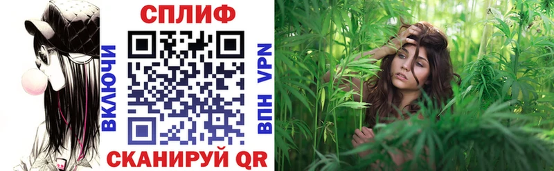 Бошки Шишки Amnesia  Одинцово 